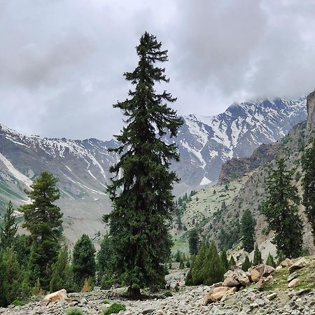 Rakaposhi Amin Hotel & Restaurant Pissan Hunza Nagar Gilgit Baltistan Eksteriør billede