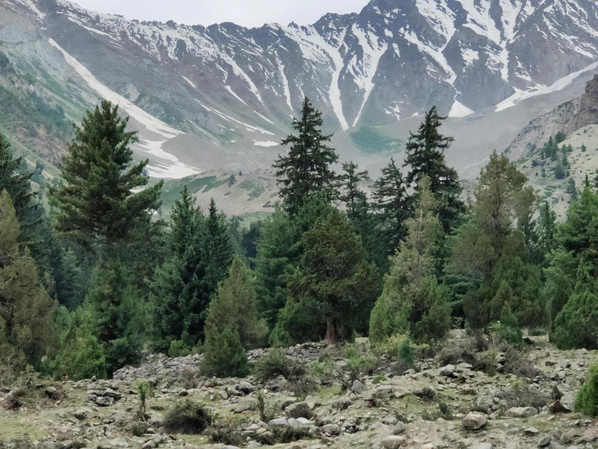 Rakaposhi Amin Hotel & Restaurant Pissan Hunza Nagar Gilgit Baltistan Eksteriør billede