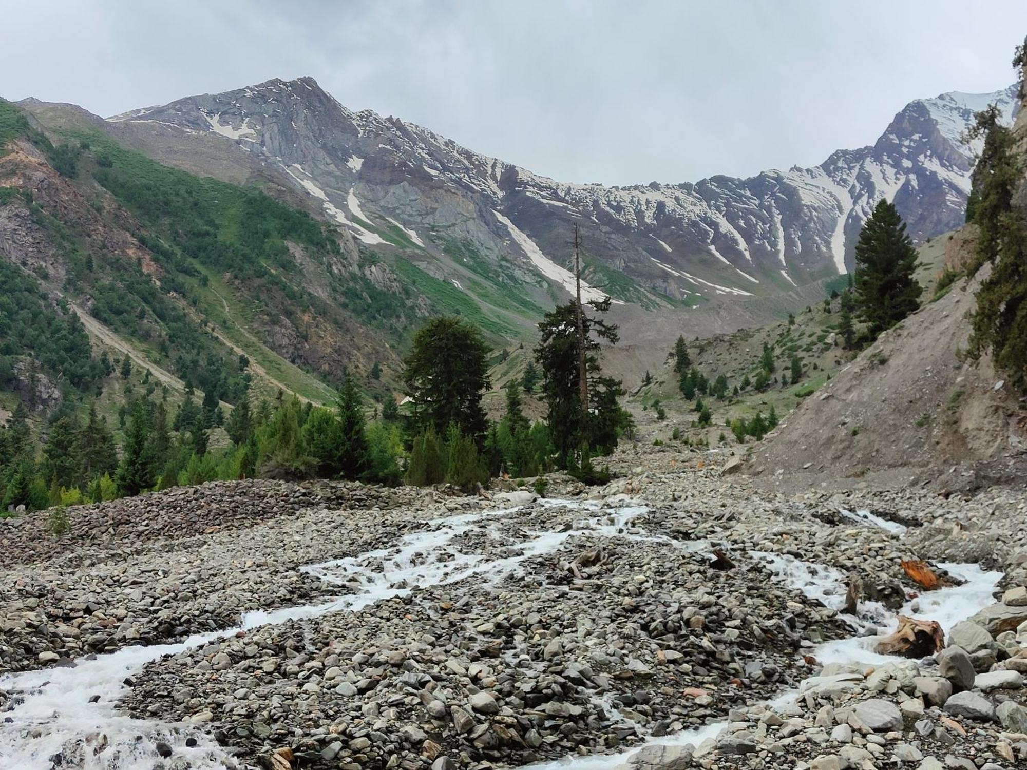 Rakaposhi Amin Hotel & Restaurant Pissan Hunza Nagar Gilgit Baltistan Eksteriør billede