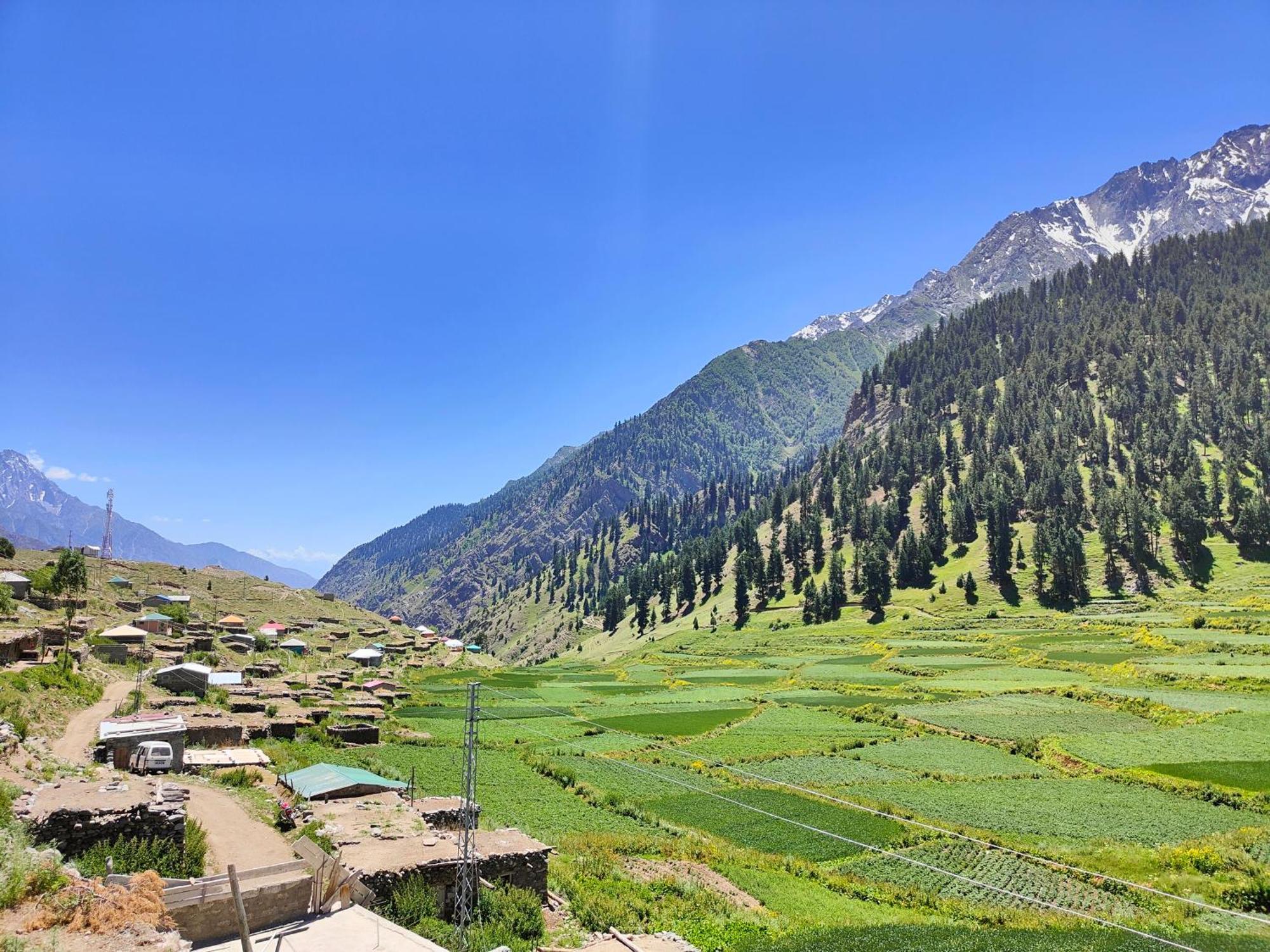 Rakaposhi Amin Hotel & Restaurant Pissan Hunza Nagar Gilgit Baltistan Eksteriør billede