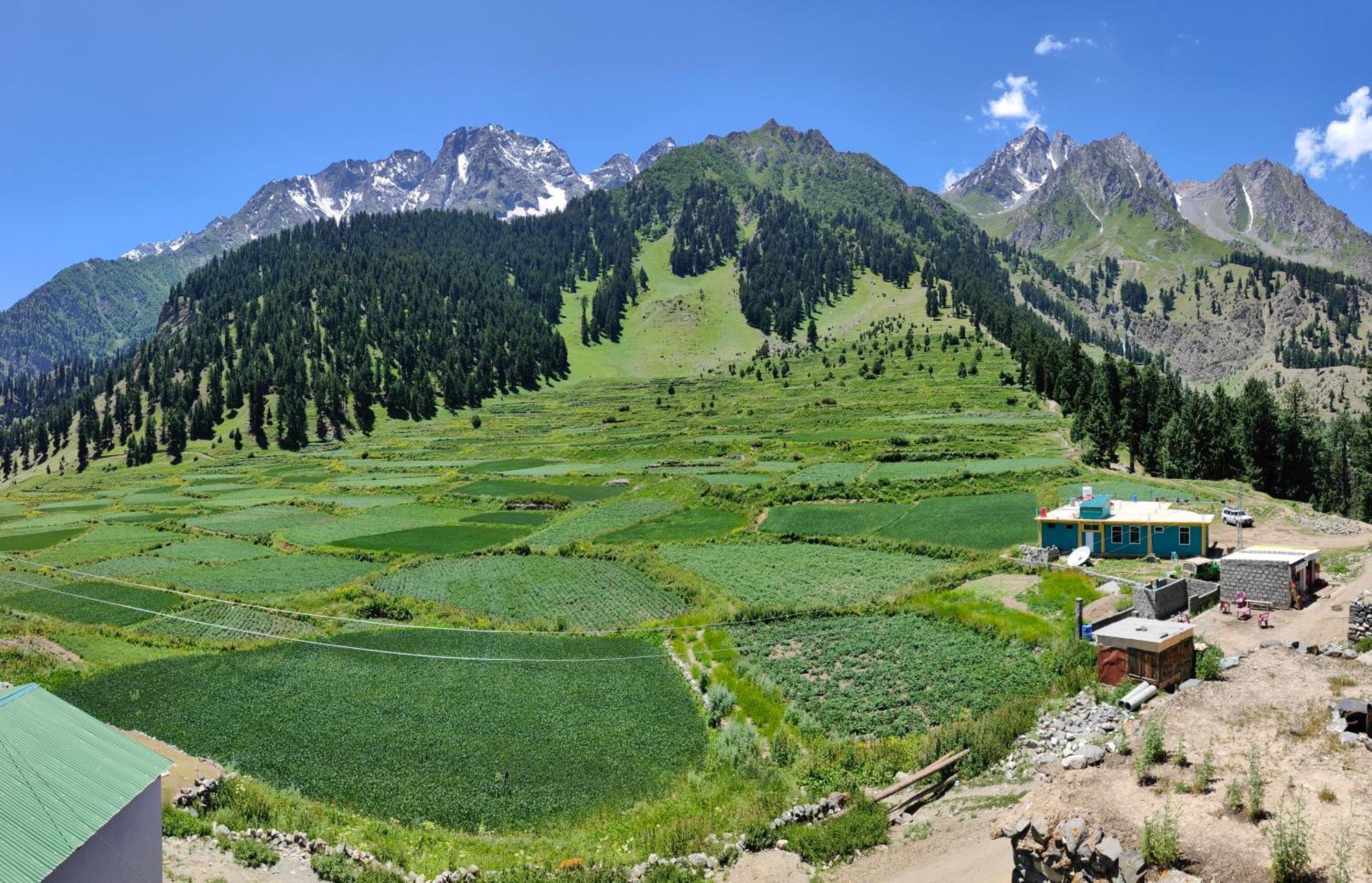 Rakaposhi Amin Hotel & Restaurant Pissan Hunza Nagar Gilgit Baltistan Eksteriør billede