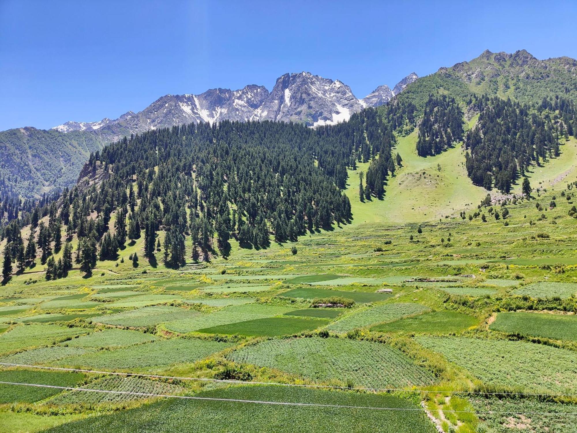 Rakaposhi Amin Hotel & Restaurant Pissan Hunza Nagar Gilgit Baltistan Eksteriør billede