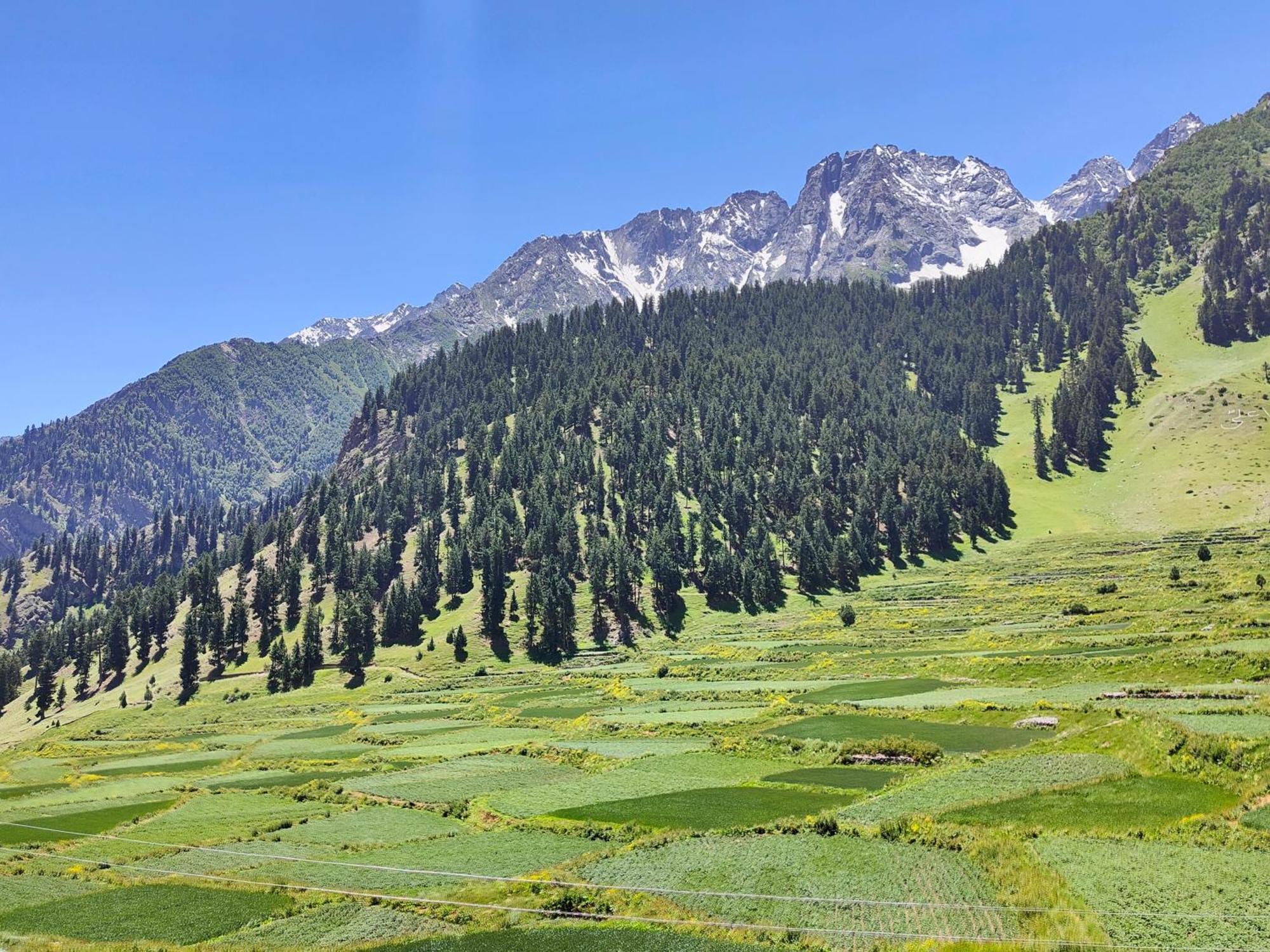 Rakaposhi Amin Hotel & Restaurant Pissan Hunza Nagar Gilgit Baltistan Eksteriør billede
